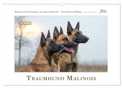 Cover-Bild zum Titel 'Traumhund Malinois (Wandkalender 2026 DIN A3 quer), CALVENDO Monatskalender' von 'Martina Wrede - Wredefotografie'