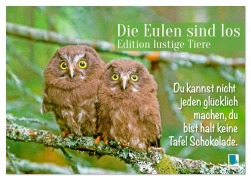Cover-Bild zum Titel 'Die Eulen sind los: Edition lustige Tiere (Tischkalender 2026 DIN A5 quer), CALVENDO Monatskalender' von 'Calvendo Calvendo'