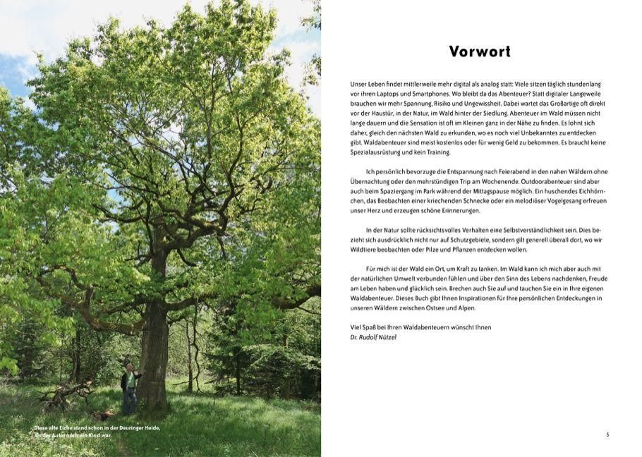 InsideView 2
