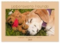 Liebenswerte Freunde - Azawakh-Ridgeback mit Teddys (Wandkalender 2025 DIN A2 quer), CALVENDO Monatskalender - Meike Bölts