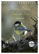 Cover-Bild zum Titel 'Amsel, Drossel, Fink und Star - beobachtet (Tischkalender 2026 DIN A5 hoch), CALVENDO Monatskalender' von 'Flori Flori0'