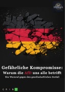Cover-Bild zum Titel 'Gefährliche Kompromisse' von 'Ibn Search'