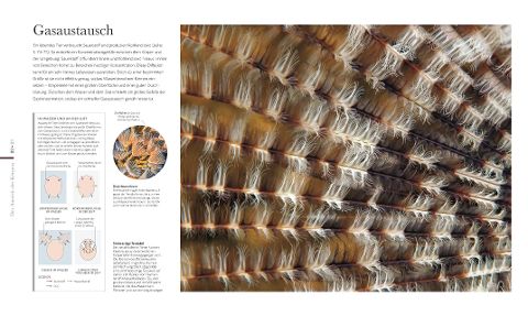 InsideView 8
