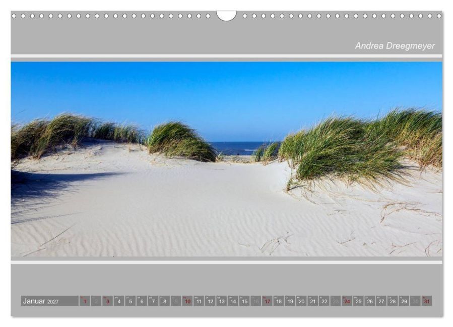 InsideView 6