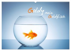 Goldy - mein Goldfisch (Wandkalender 2026 DIN A2 quer), CALVENDO Monatskalender - Rclassen Rclassen