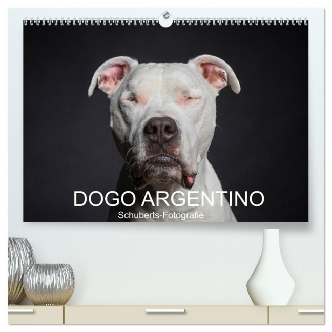 DOGO ARGENTINO (hochwertiger Premium Wandkalender 2026 DIN A2 quer), Kunstdruck in Hochglanz - Schuberts-Fotografie Schuberts-Fotografie