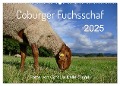 Coburger Fuchsschaf (Wandkalender 2025 DIN A2 quer), CALVENDO Monatskalender - Cordula Kelle-Dingel