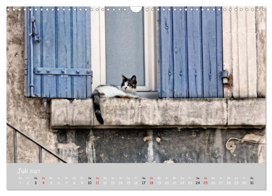InsideView 12