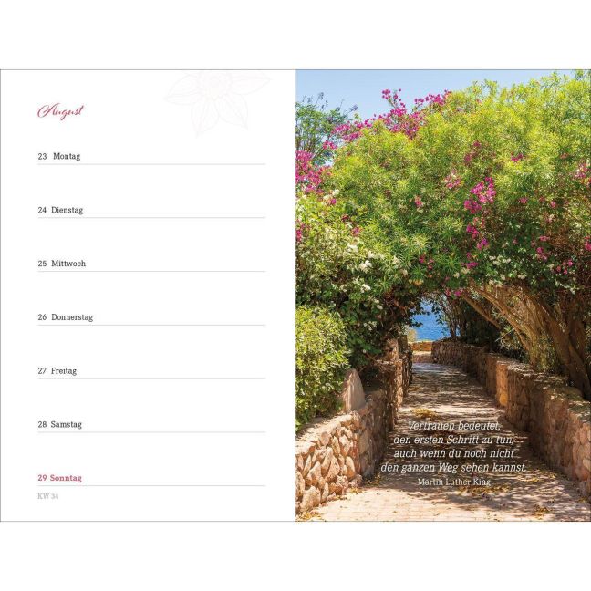 InsideView 19