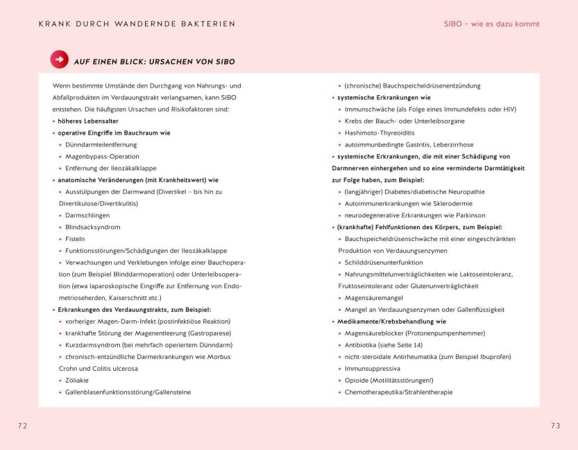 InsideView 5