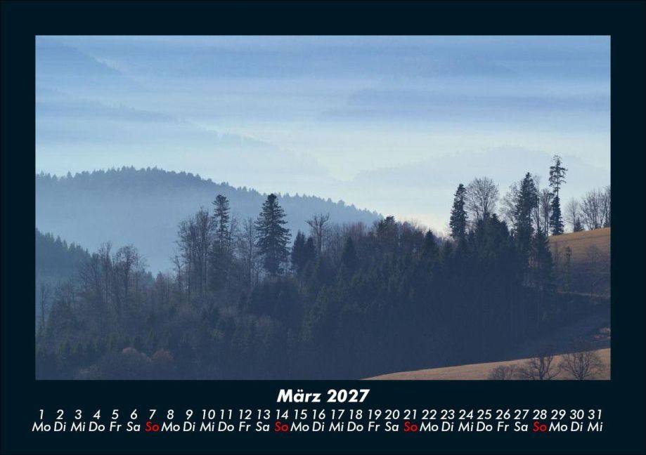 InsideView 7
