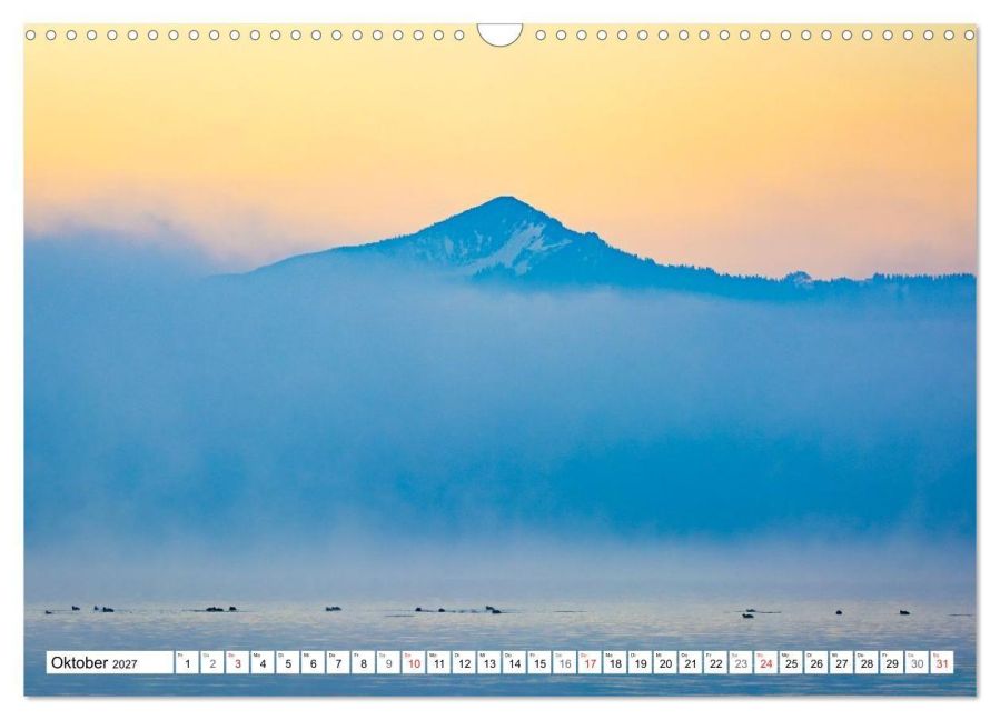 InsideView 2