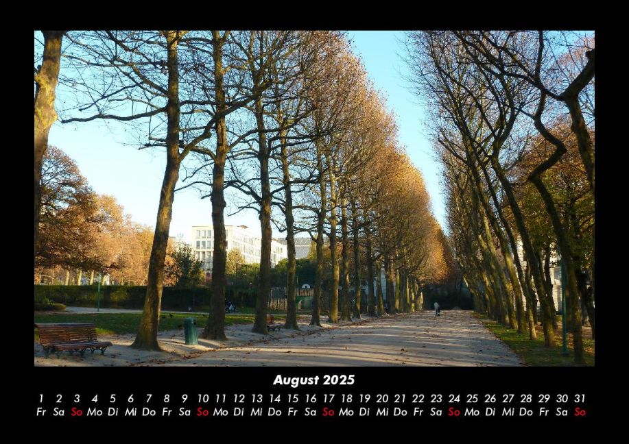 InsideView 12
