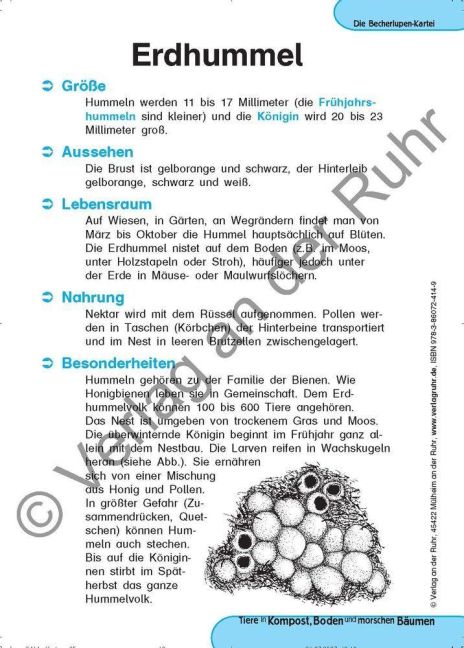 InsideView 4