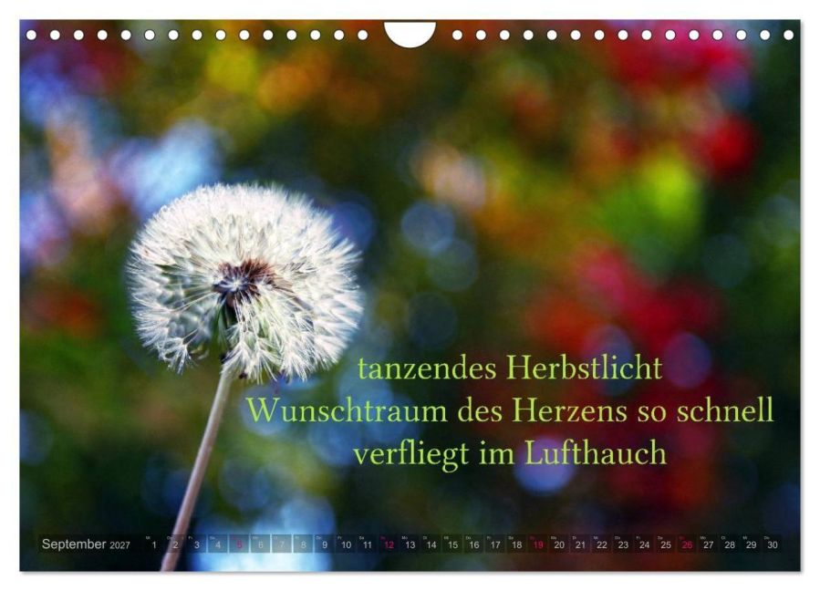InsideView 14