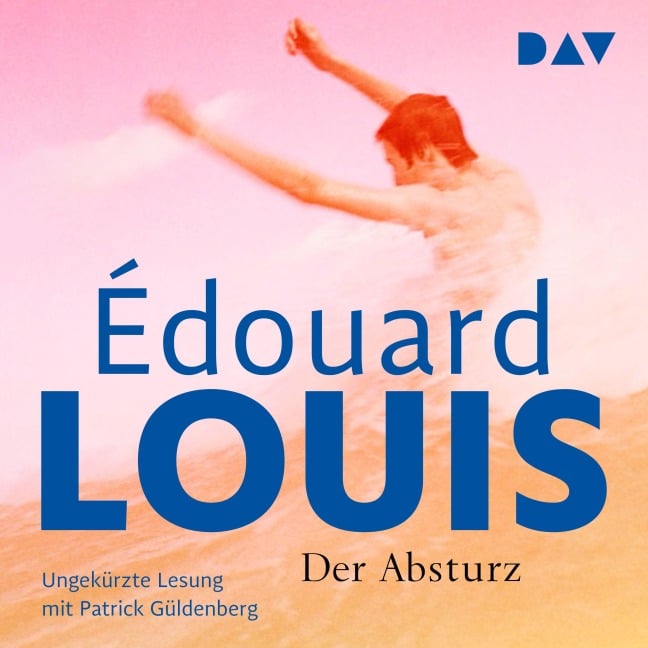 Der Absturz - Édouard Louis