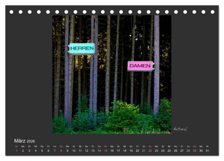 InsideView 8