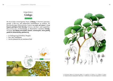 InsideView 7