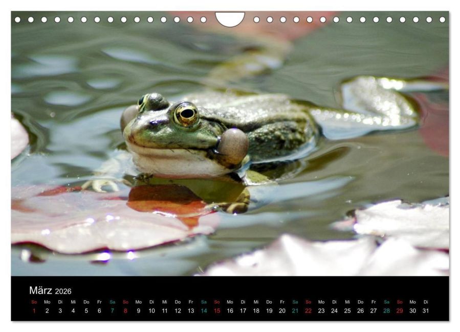 InsideView 8