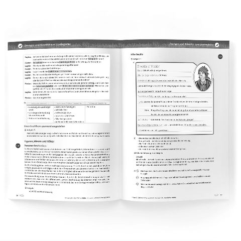 InsideView 2