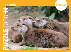 Cover-Bild zum Titel 'Fischotter - Puzzle' von ''