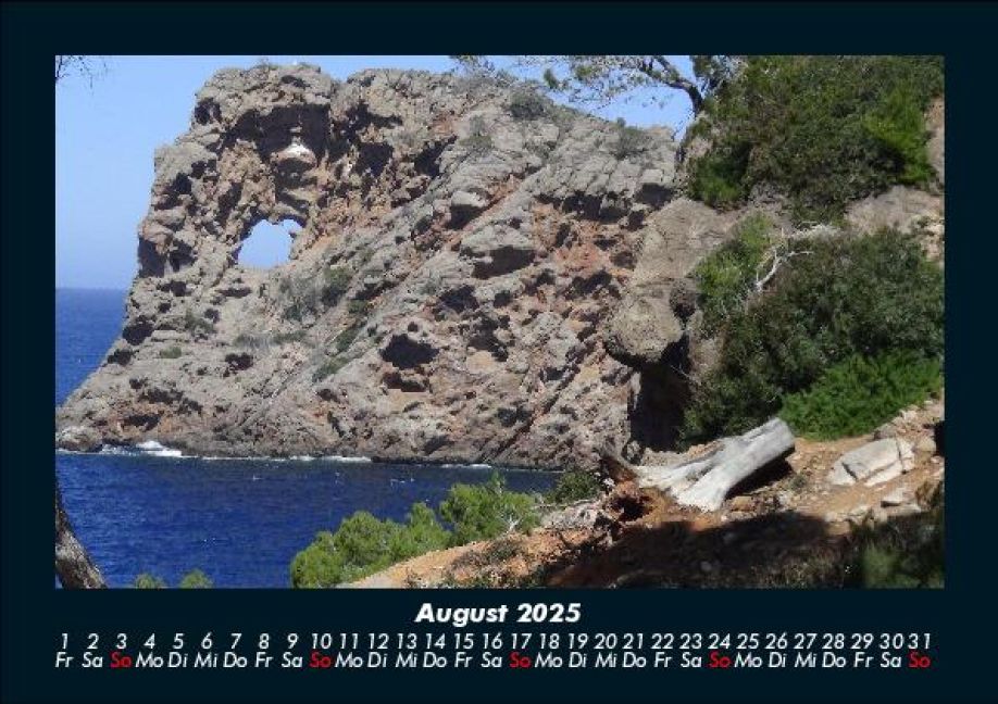 InsideView 12