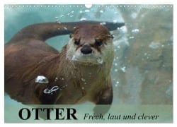 Otter. Frech, laut und clever (Wandkalender 2025 DIN A3 quer), CALVENDO Monatskalender - Elisabeth Stanzer