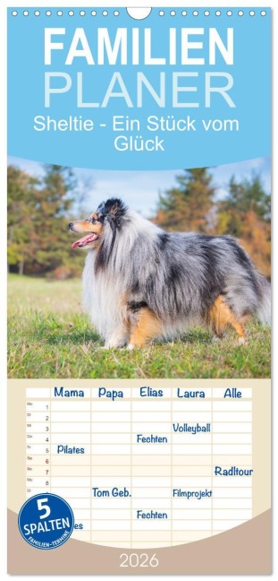 Familienplaner 2026 - Sheltie - Ein Stück vom Glück mit 5 Spalten (Wandkalender, 21 x 45 cm) CALVENDO - Sigrid Starick