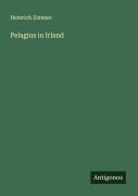 Cover-Bild zum Titel 'Pelagius in Irland' von 'Heinrich Zimmer'