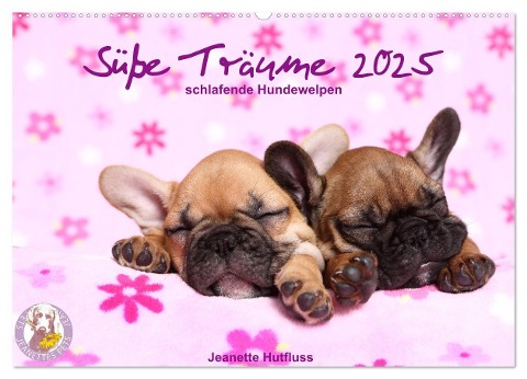 Süße Träume 2025 - schlafende Hundewelpen (Wandkalender 2025 DIN A2 quer), CALVENDO Monatskalender - Jeanette Hutfluss
