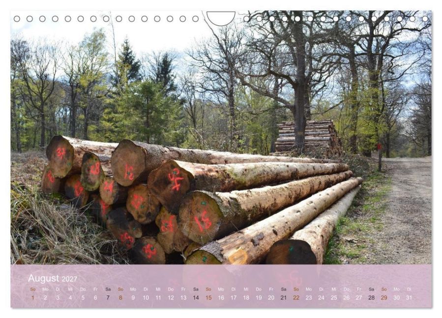 InsideView 13