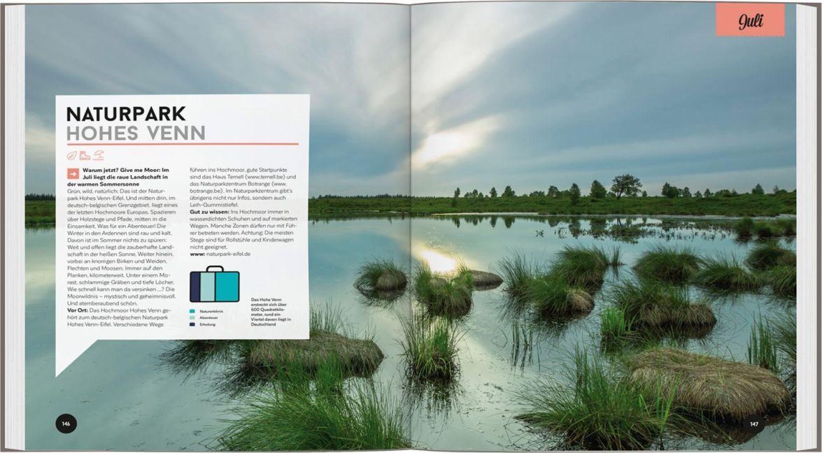 InsideView 4