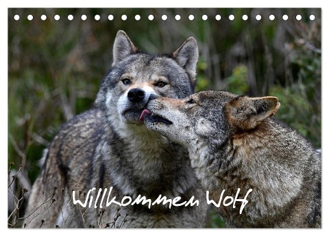 Willkommen Wolf (Tischkalender 2024 DIN A5 quer), CALVENDO Monatskalender - Benny Trapp