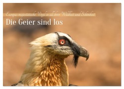 Cover-Bild zum Titel 'Die Geier sind los (Wandkalender 2026 DIN A3 quer), CALVENDO Monatskalender' von 'Luís Alberto Silva da Rosa & Jutta Proch'