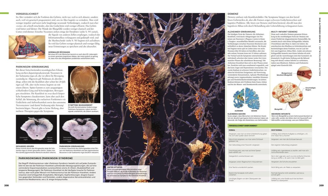 InsideView 8
