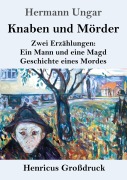 Cover-Bild zum Titel 'Knaben und Mörder (Großdruck)' von 'Hermann Ungar'