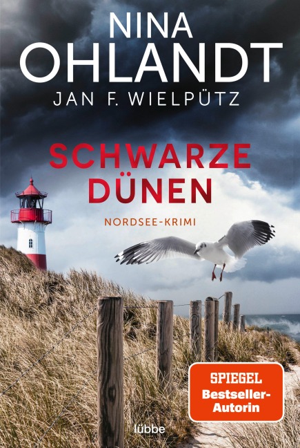 Schwarze Dünen - Nina Ohlandt, Jan F. Wielpütz