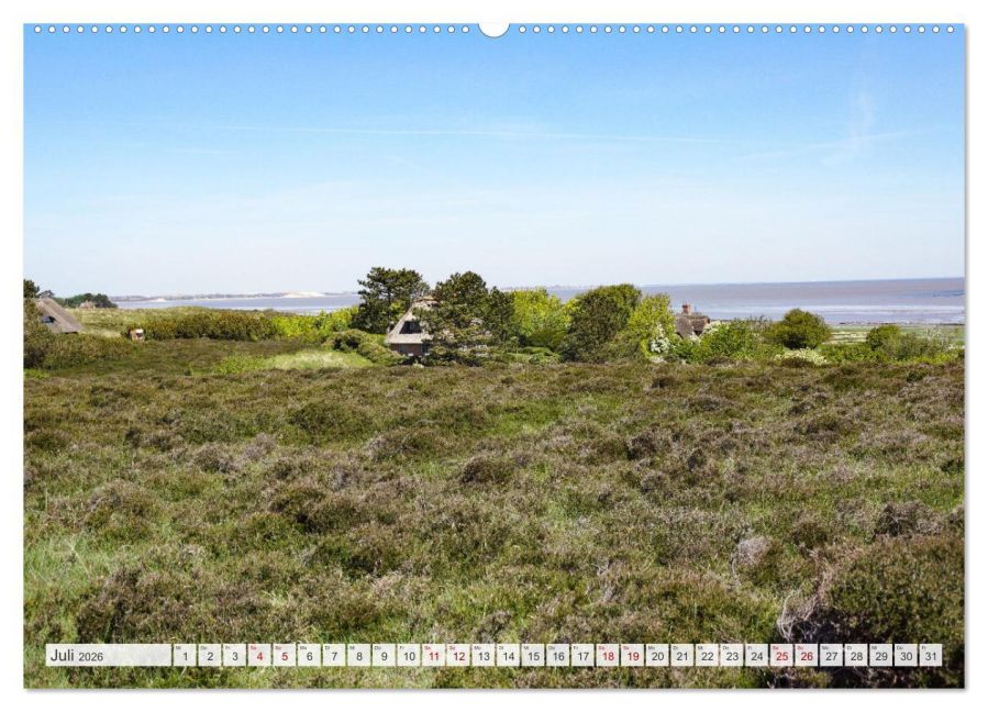 InsideView 11
