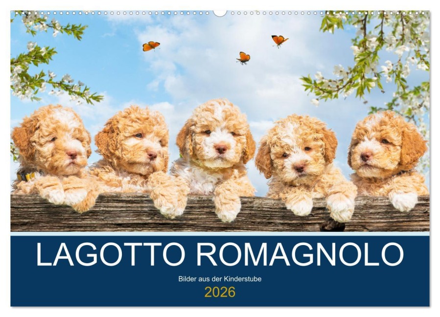 Lagotto Romagnolo - Bilder aus der Kinderstube (Wandkalender 2026 DIN A2 quer), CALVENDO Monatskalender - Sigrid Starick