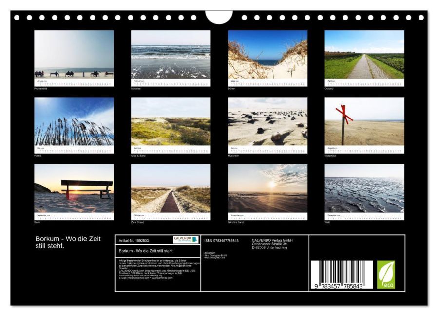 InsideView 5