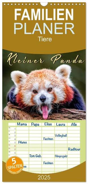 Familienplaner 2025 - Kleiner Panda mit 5 Spalten (Wandkalender, 21 x 45 cm) CALVENDO - Peter Roder