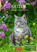 Cover-Bild zum Titel 'Katzen Wochenplaner 2027 - 53 faszinierende Fotografien' von 'Thomas Huhnold'