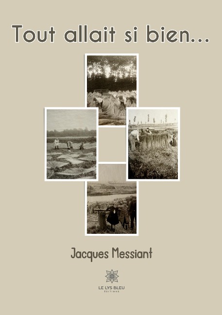 Tout allait si bien - Jacques Messiant