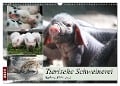 Tierische Schweinerei (Wandkalender 2024 DIN A3 quer), CALVENDO Monatskalender - Barbara Mielewczyk