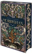 Cover-Bild zum Titel 'Morrighan - Wie alles begann' von 'Mary E. Pearson'