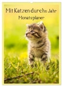 Mit Katzen durchs Jahr / Planer (Wandkalender 2026 DIN A2 hoch), CALVENDO Monatskalender - Yvonne Obermüller Fotografie