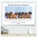 Berger de Brie - Welpen (hochwertiger Premium Wandkalender 2024 DIN A2 quer), Kunstdruck in Hochglanz - Sonja Tessen