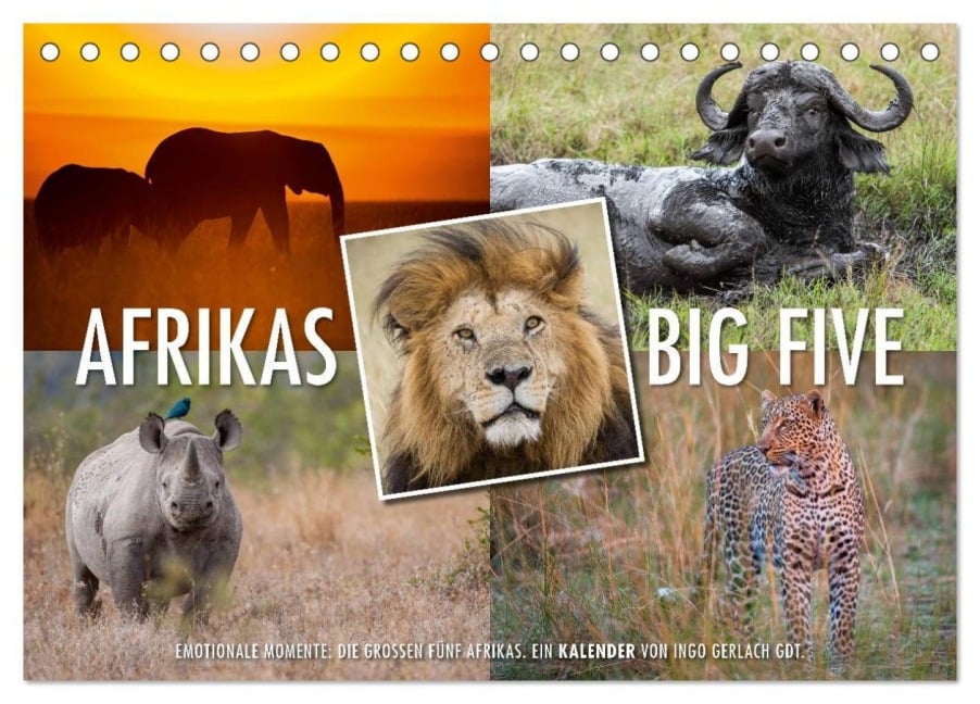 Emotionale Momente: Afrikas Big Five (Tischkalender 2025 DIN A5 quer), CALVENDO Monatskalender - Ingo Gerlach GDT