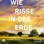 Cover-Bild zum Titel 'Wie Risse in der Erde' von 'Clare Leslie Hall'