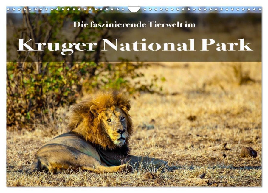 Faszinierende Tierwelt des Kruger National Parks (Wandkalender 2025 DIN A3 quer), CALVENDO Monatskalender - Stephan Henting